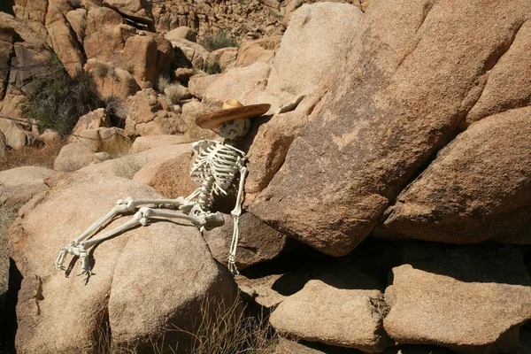 Bűnügyi Helyszín Elveszett Túrázó Skeleton Elveszett Sivatagban Egy Csontváz Fekszik — Stock Fotó