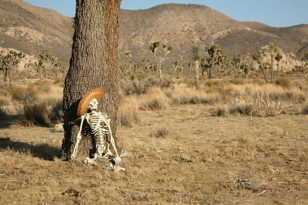 Escena Del Crimen Senderista Perdido Esqueleto Perdido Desierto Esqueleto Yace —  Fotos de Stock