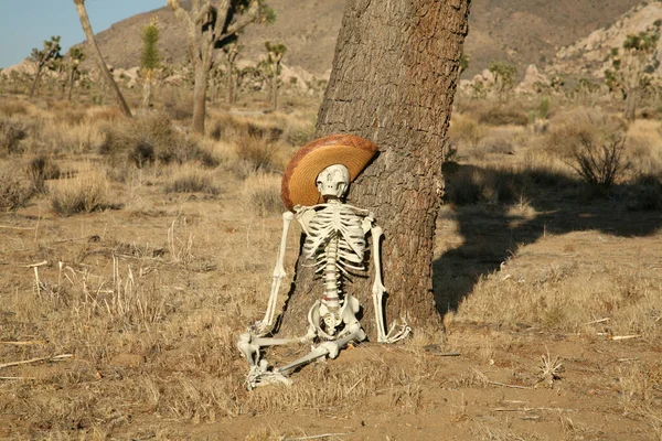 Suç Mahalli Kayıp Yürüyüşçü Skelet Çölde Kayboldu Bir Iskelet Ölüm — Stok fotoğraf