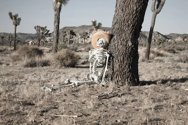 Suç Mahalli Kayıp Yürüyüşçü Skelet Çölde Kayboldu Bir Iskelet Ölüm — Stok fotoğraf