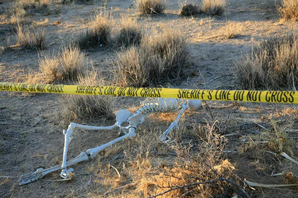Cena Crime Esqueleto Parcialmente Enterrado Sujeira Deserto Cena Crime Forense — Fotografia de Stock