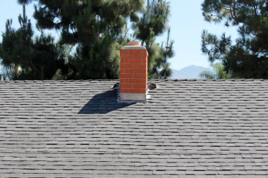 Çatı tamiri. Eski çatının kaldırılması. Yeni çatı kiremitlerini değiştir. ev çatısı inşaatı. Yeni çatı malzemeleri. Çatı tamiri. İnşaat işçisi çatı döşedi. Çatı aletleri. Profesyonel tamir çatısı. Düz çatı kurulumu. Çatı ustası.