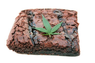 Yenilebilir marihuana. Yenilebilir kenevir. Tıbbi ve Eğlenceli Yenilebilir Marihuana. Marihuana Brownie. Kenevirli kekler. Kenevirle yemek pişirmek. Marihuanayla yemek pişirmek. Esrarlı kek. Üstünde esrar olan brovniler. Kenevir yaprakları. Marihuana keki.. 