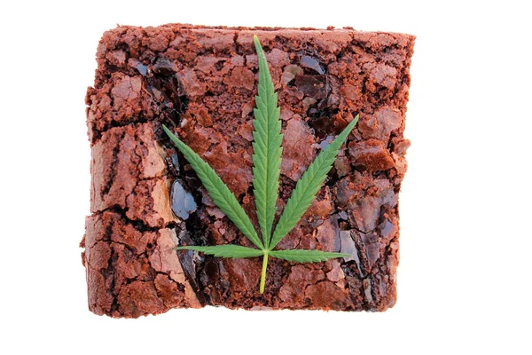 Marijuana Edibles Edible Cannabis Medical Recreational Edible Marijuana Marijuana Brownies — Foto de Stock