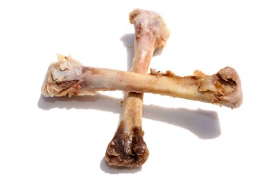 Tavuk kemikleri. Tavuk Bacağı Kemikleri bütün etleri yedikten sonra. Beyaz üzerine izole edilmiş. Mesaj için yer var. Kırpma Yolu. Tavuk kemiği. Kemirilmiş haşlanmış tavuk kemikleri. Tavuk kemiklerini ziyan et. Beyaz arka plan. Yakın plan. Tavuk iskeleti. tavuklar.