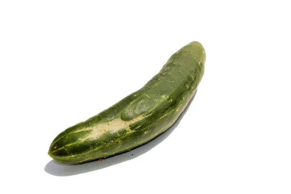 Cucumber Cucumber Vegetable Isolated White Room Text Clipping Path Home — 图库照片