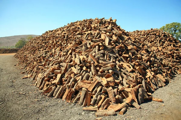 Kelyhes Tűzifa Fák Fából Készült Tűzifa Vágj Tűzifát Egy Rakás — Stock Fotó