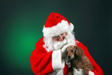 Noel zamanı. Noel Baba 'nın köpeği var. Noel Baba bir fotoğraf için kaniş köpeğini tutuyor. Mutlu Noeller..