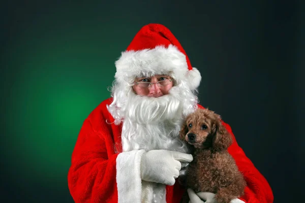 Christmas Santa Claus Holds Poodle Dog Santa Holds His Poodle — Stock Photo, Image