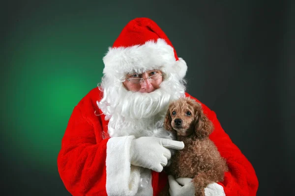Christmas Santa Claus Holds Poodle Dog Santa Holds His Poodle — Stock Photo, Image
