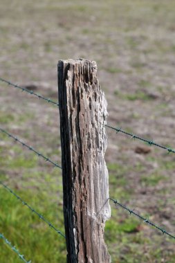 Çit direği. Dikenli telli Old Fence Post. Tahta Post. Paslı dikenli telli eski ahşap çitler. Kırsal yolun yanında bir çit. Klasik görünüm. Çitin çevresindeki ahşap bir direk. Tahta Çit Kurdu Termit Yuttu.  
