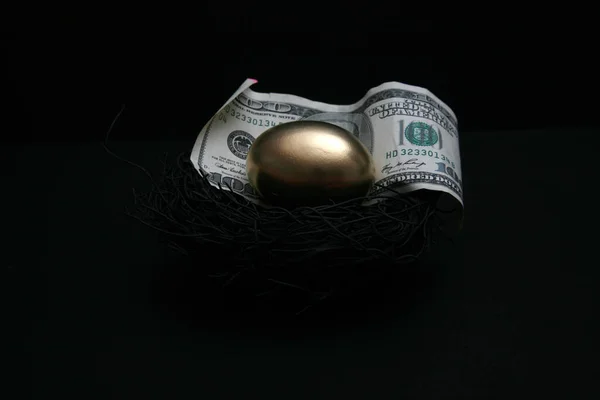 Nest Egg Retirement Golden Goose Golden Egg Savings Golden Hand — Stock Photo, Image