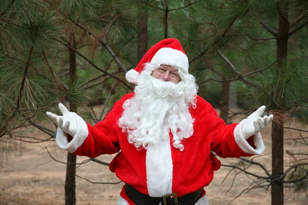 Christmas Santa Claus Christmas Tree Santa Claus Loves His Christmas — Stock fotografie