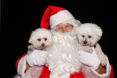Noel Baba köpekleri sever. Noel Baba 'nın elinde iki safkan Bichon Frise Köpeği var. Noel Köpekleri. Noel hediyeleri. Noel hediyeleri. İnsanın en iyi dostu. Küçük Beyaz Köpek. Bichon Frise Köpeği. Mutlu noeller. Bütün köpekler Noel 'i sever. Ho Ho Ho. Bichon Frise. 