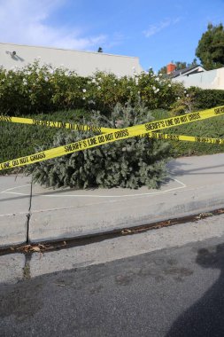 Noel zamanı. Yeni yıl arifesi. Yeni yıl. Noel 'den sonra. Noel ağacı. Ölü Noel Ağacı. Noel Ağacı Çöpü. Noel Suç Mahalli. Noel Ağacı Suç Mahalli. Noel ağaçları sokağa çöp olarak atıldı. Bir yılbaşı ağacı atıldı. Suç.. 