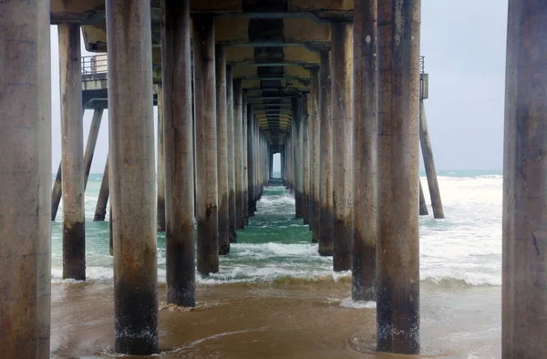 Ocean Pier Pacific Ocean Atlantic Ocean Huntington Beach Pier Seal — Stock Photo, Image