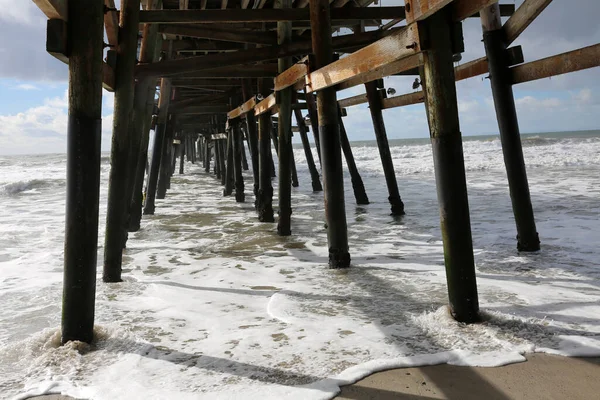 Ocean Pier Pacific Ocean Atlantic Ocean Huntington Beach Pier Seal — Stock Photo, Image