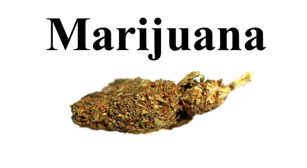 マリファナだ 大麻だ 乾燥マリファナの花の芽 ポットだ ウィード 大麻のサティバ 大麻の指標 ドープ 雑草だ メアリー — ストック写真