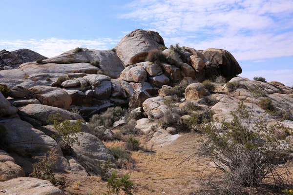 Death Valley Joshua Tree Desert Forest Désert Ancient Volcanic Rock — Photo