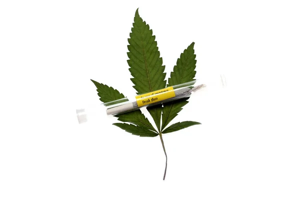 Marihuana Konopí Cannabis Sativa Cannabis Indica Marihuanový List Jointem Skleněné — Stock fotografie