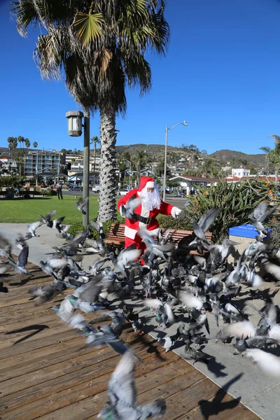 Noël Père Noël Des Pigeons Des Oiseaux Nourrir Les Oiseaux — Photo