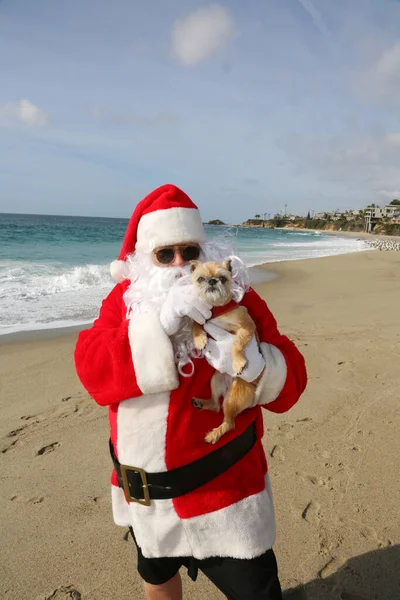 Kerstmis Kerstman Een Hond Kersthond Een Kerstcadeau Kerstcadeau Kleine Hond — Stockfoto