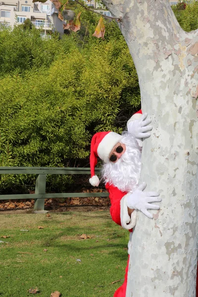 Święta Święty Mikołaj Drzewo Mikołaju Święty Mikołaj Przytula Drzewo Święty — Zdjęcie stockowe