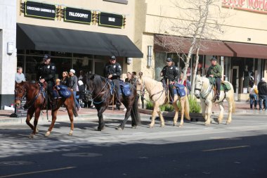 SANTA ANA, CALIFORNIA - JANUARY 21, 2017: People from Orange County carry signs, and wear t-shirts with slogans marched in Santa Ana today for the Orange County Women's March. Editorial. Pink Pussy Hat Protest March. pink pussy hats. 