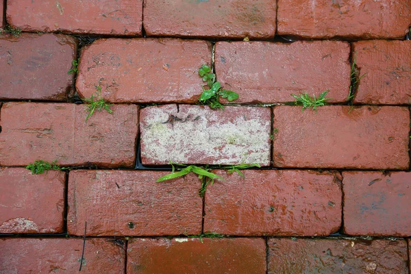 Brick Wall. brick wall on a building. background. wallpaper. wall paper. Weathered stained old brick wall background. old brick wall texture. just another brick in the wall.