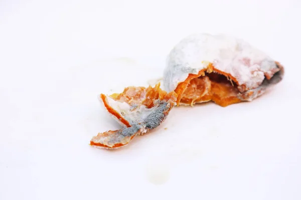 Rotting Orange Orange Decomposition Penicillin Digitaum Mold Isolated White Room — Stock Photo, Image