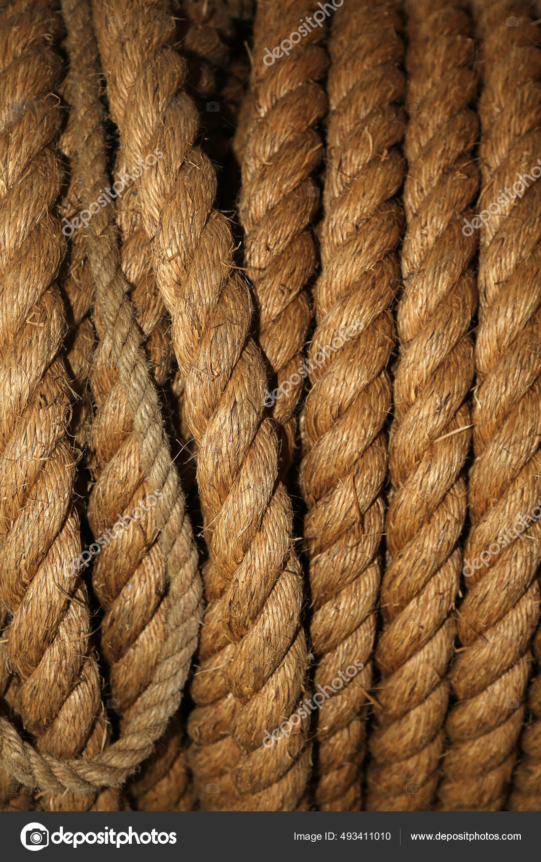 Strong Rope Stock Photo - Download Image Now - Chord, Close-up, Direction -  iStock, Strong Rope 