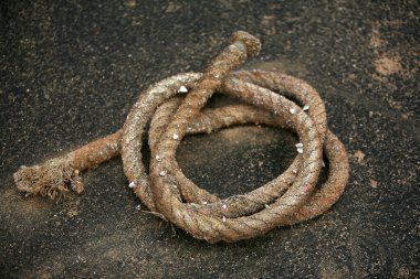 İp. Deniz ipi. Tekneleri rıhtıma bağlamak için deniz ipi. kenevir ipi. 