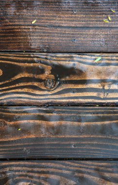 Zemin kat. Tahta. Ahşap zemin. Tahta Planklar. Ahşap zemin. Tahta duvar. Yaşlı Wood. Ahşap zemin. Metal cıvatalı ahşap zemin. Kalıntılı toprak ve ayak izleriyle eski, sert ahşap zemin. Ahşap arka plan ve desen. Metin veya resim örtüşmesi için yer. 