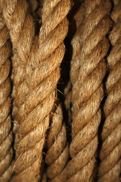 실감개에 것이다 로페의 스파이 Natural Fiber Rope 해시계 인한테 두꺼운 — 스톡 사진