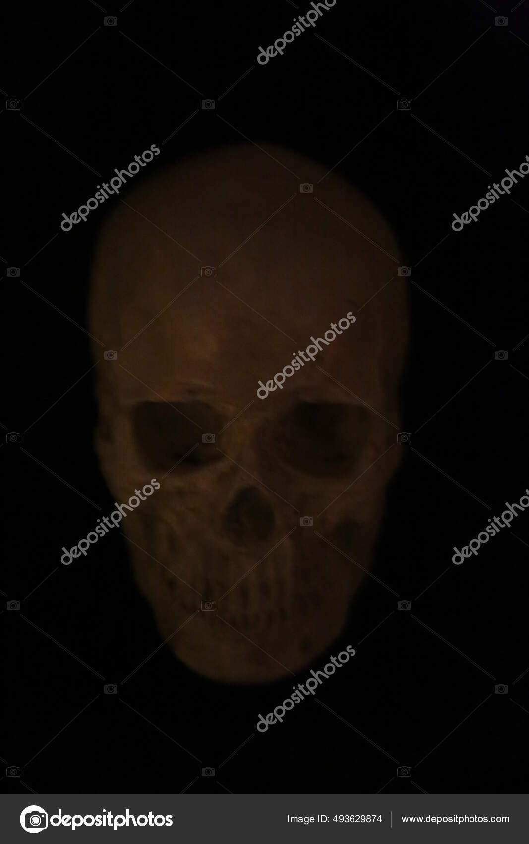 Crânio Humano Dia Das Bruxas Assustador Assustador Caveira Humana Halloween  — Foto © mikeledray #493629874, image size:1067x1700