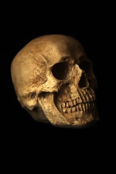 人間の頭蓋骨 ハロウィンだ 怖がってる 気味が悪い ハロウィン ヒューマン スカル ブラックに隔離された不気味な怪物人間の頭蓋骨 夜の人間の頭蓋骨に青い光 Covid — ストック写真