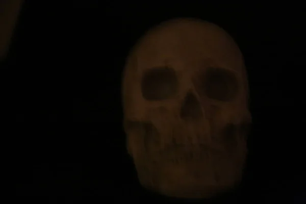 Lidská Lebka Halloween Děsivé Strašidelný Halloween Human Skull Strašidelný Lidský — Stock fotografie
