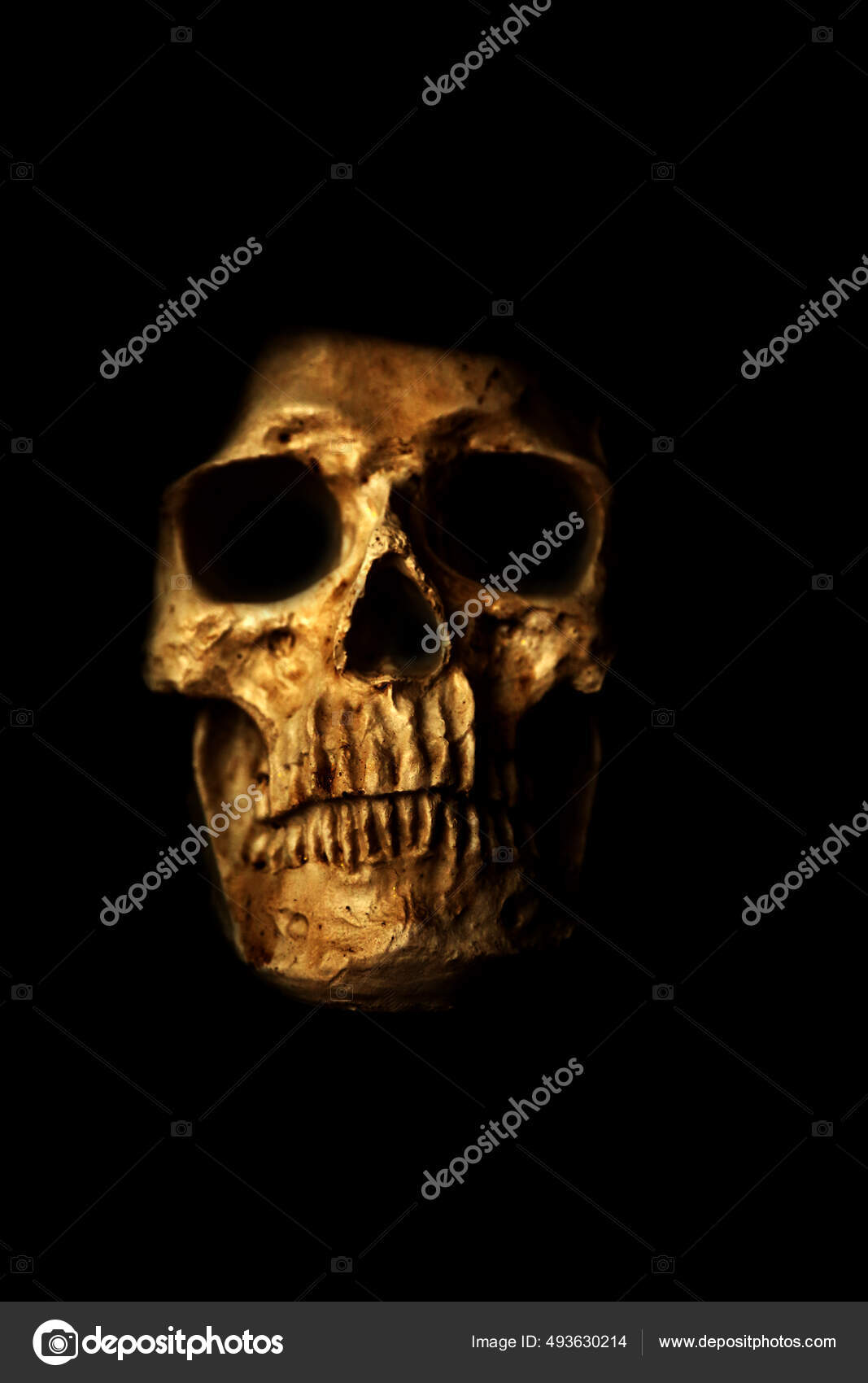 Crânio Humano Dia Das Bruxas Assustador Assustador Caveira Humana Halloween  — Foto © mikeledray #493630214, image size:1067x1700