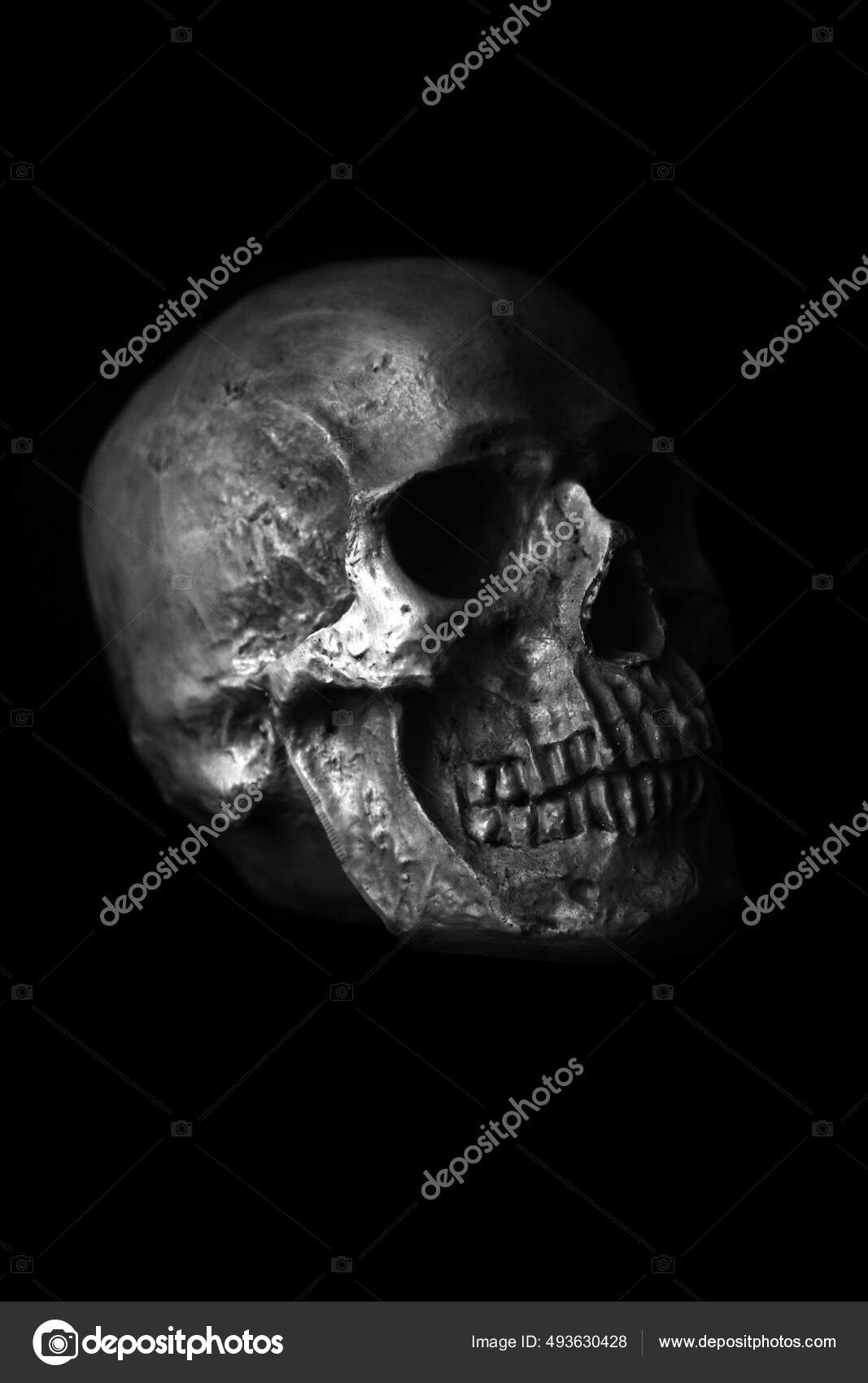 Crânio Humano Dia Das Bruxas Assustador Assustador Caveira Humana Halloween  — Foto © mikeledray #493630428, image size:1067x1700