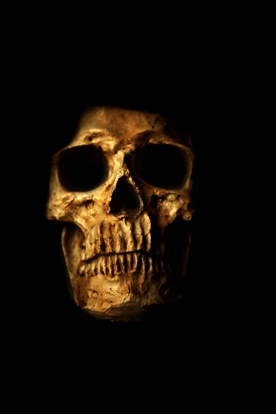 人間の頭蓋骨 ハロウィンだ 怖がってる 気味が悪い ハロウィン ヒューマン スカル ブラックに隔離された不気味な怪物人間の頭蓋骨 夜の人間の頭蓋骨に悪の光 Covid — ストック写真