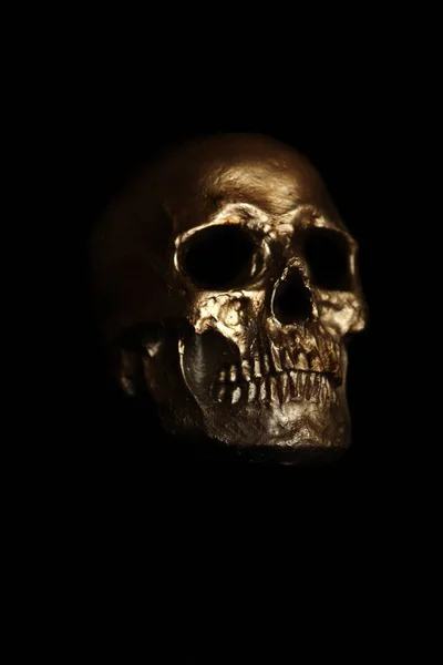 Human Skull Halloween Scary Spooky Halloween Human Skull Spooky Monstrous — Stock Photo, Image