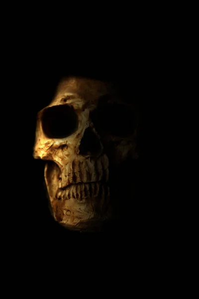 人間の頭蓋骨 ハロウィンだ 怖がってる 気味が悪い ハロウィン ヒューマン スカル ブラックに隔離された不気味な怪物人間の頭蓋骨 夜の人間の頭蓋骨に灰色の光 Covid — ストック写真