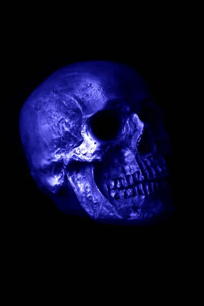 Human Skull Halloween Scary Spooky Halloween Human Skull Spooky Monstrous — Stock Photo, Image