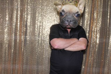 Noel zamanı. Noel Baba. Fotoğraf kabini. Köpek Adam fotoğraf kabininde poz veriyor. Köpek Adam çok komik. Eğlenceli Köpek Adam Fotoğrafları. Köpek maskeli bir adam, arka planda pullu bir fotoğraf kabininde poz veriyor..