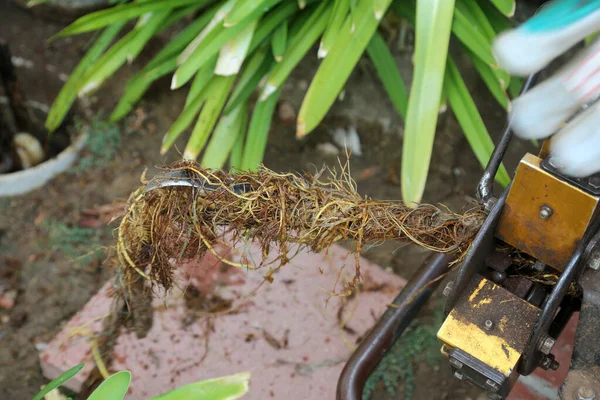 Nettoyage Des Égouts Plombier Utilise Serpent Égout Pour Nettoyer Blocage — Photo