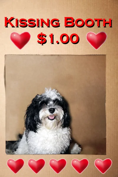 Dog in a Kissing Booth