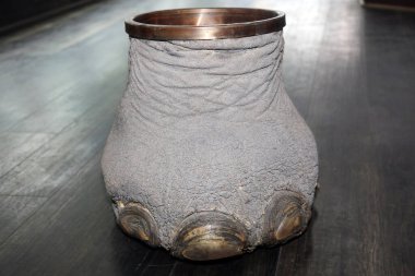 Las Vegas, Nevada 3-15-2018: An antique Elephants Foot Brass Lined Trash Can for sale in an antique shop on a wooden floor.