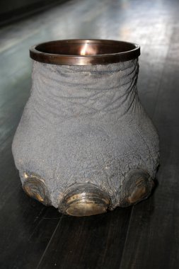 Las Vegas, Nevada 3-15-2018: An antique Elephants Foot Brass Lined Trash Can for sale in an antique shop on a wooden floor.