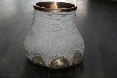 Las Vegas, Nevada 3-15-2018: An antique Elephants Foot Brass Lined Trash Can for sale in an antique shop on a wooden floor.