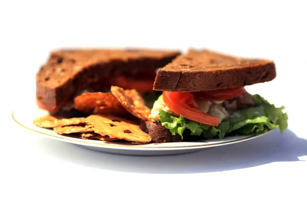 Chicken Salad Sandwich Multi Grain Bread Lunch Concept Chicken Salad — Fotografia de Stock